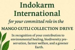 certificate-mango-gutli